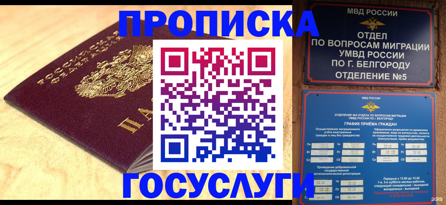 прописка иностранных граждан в Санкт-Петербурге
